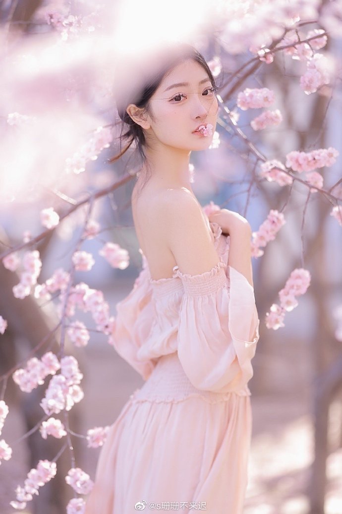 七月与安生
